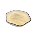 Freeze-dried High Stability Probiotic OEM manufacturer Bulk Probiotic Lactobacillus casei  lactic acid bacteria powder